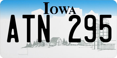 IA license plate ATN295