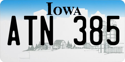 IA license plate ATN385