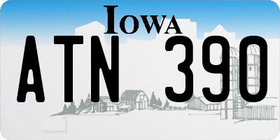 IA license plate ATN390