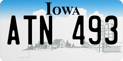 IA license plate ATN493