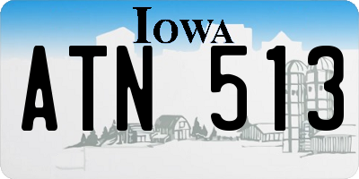 IA license plate ATN513