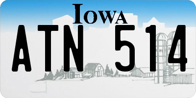 IA license plate ATN514