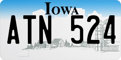 IA license plate ATN524