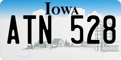 IA license plate ATN528