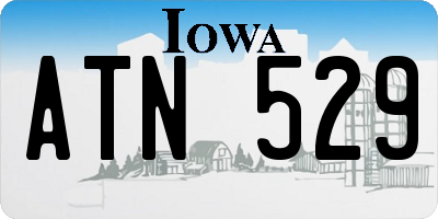 IA license plate ATN529