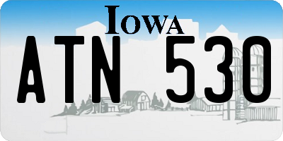 IA license plate ATN530
