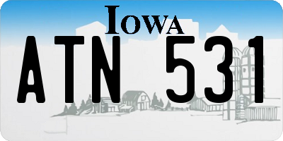 IA license plate ATN531