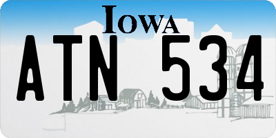 IA license plate ATN534