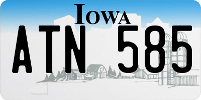 IA license plate ATN585