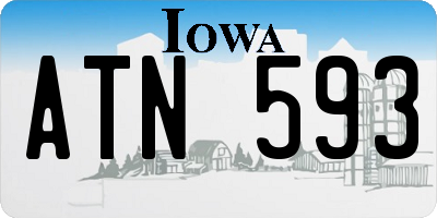 IA license plate ATN593