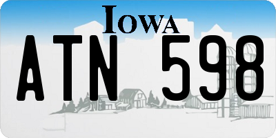 IA license plate ATN598