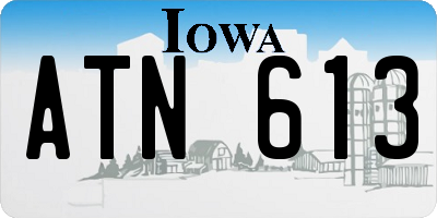 IA license plate ATN613