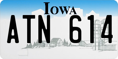 IA license plate ATN614