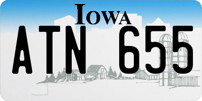 IA license plate ATN655