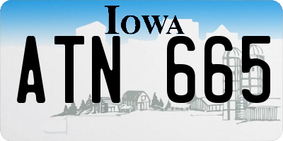IA license plate ATN665