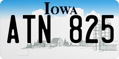 IA license plate ATN825