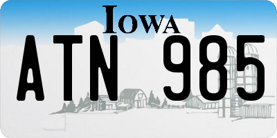 IA license plate ATN985