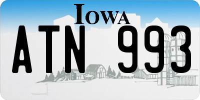 IA license plate ATN993