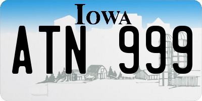 IA license plate ATN999
