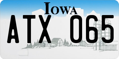 IA license plate ATX065