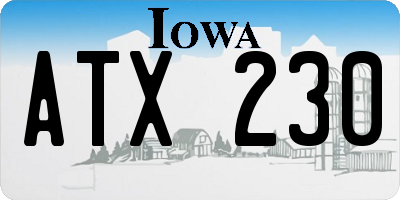 IA license plate ATX230
