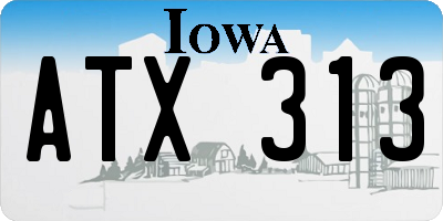 IA license plate ATX313
