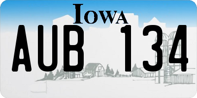 IA license plate AUB134