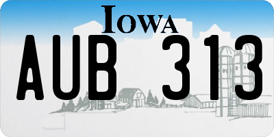 IA license plate AUB313