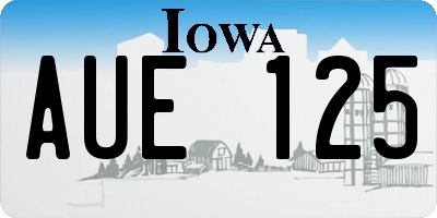 IA license plate AUE125