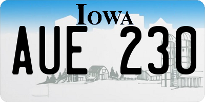 IA license plate AUE230