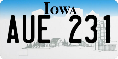 IA license plate AUE231