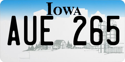 IA license plate AUE265