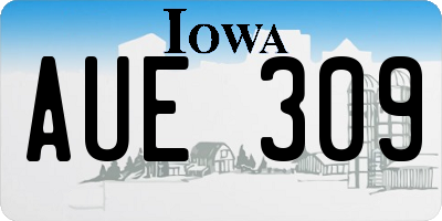 IA license plate AUE309