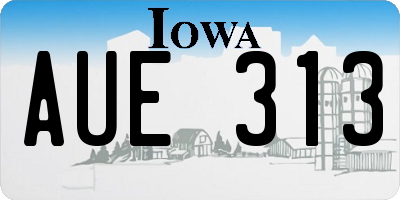 IA license plate AUE313