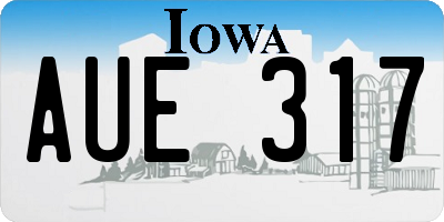 IA license plate AUE317