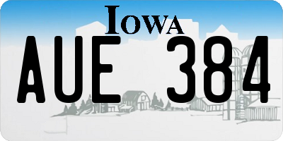 IA license plate AUE384
