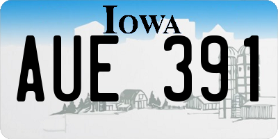IA license plate AUE391