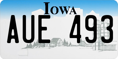 IA license plate AUE493