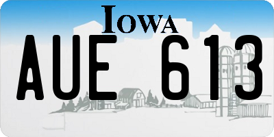 IA license plate AUE613