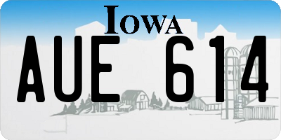 IA license plate AUE614