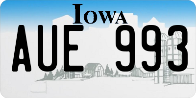 IA license plate AUE993