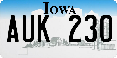 IA license plate AUK230