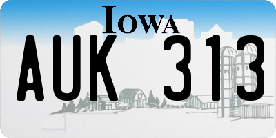IA license plate AUK313