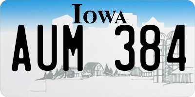 IA license plate AUM384