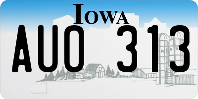 IA license plate AUO313