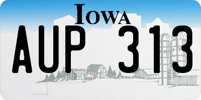 IA license plate AUP313