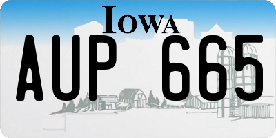IA license plate AUP665