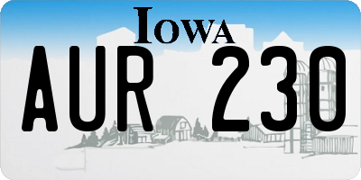 IA license plate AUR230