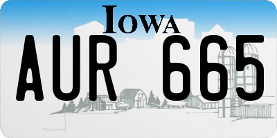 IA license plate AUR665