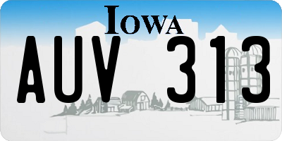 IA license plate AUV313